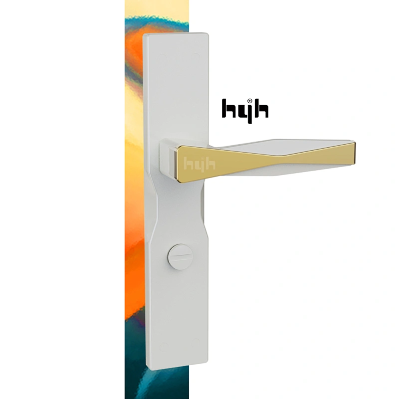 Popular Modern Design Zinc Alloy Indoor Door Lock